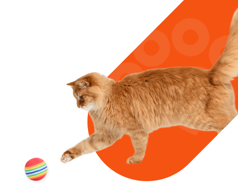 Group_203 - Your Online Pet Store