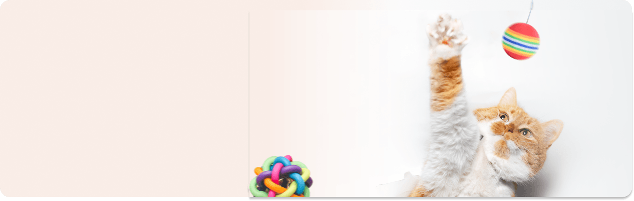 Property_1_Variant3 - Your Online Pet Store