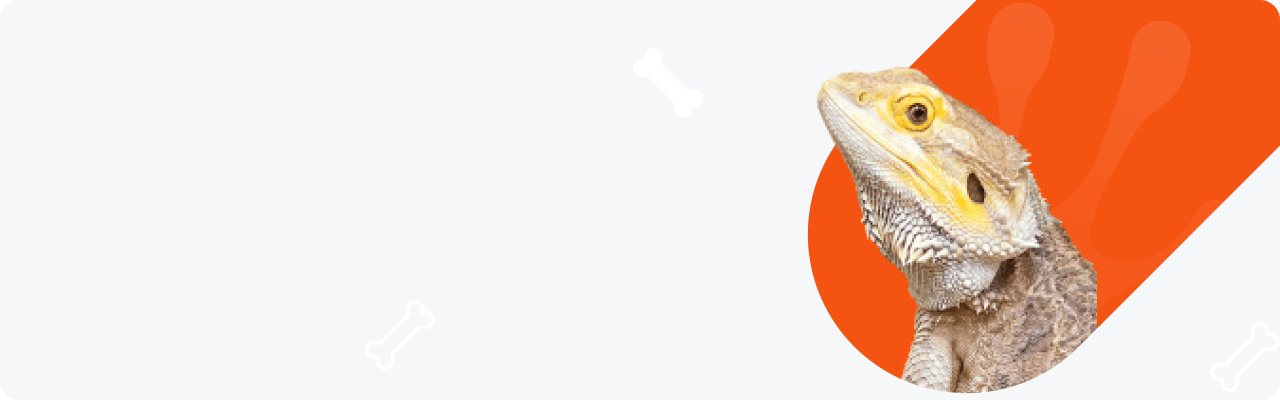 Property_1_Variant3_1 - Your Online Pet Store