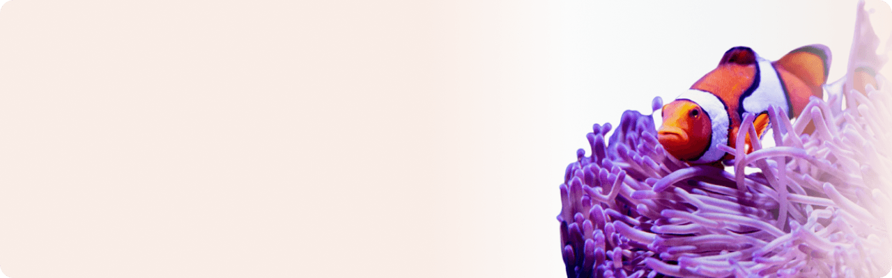 Property_1_Variant4 - Your Online Pet Store