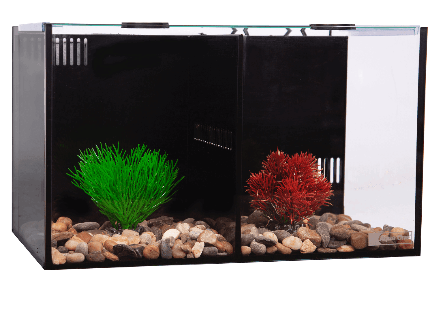 Aqua One Betta Condo Duo with Heater and Filter Your Online Pet Store