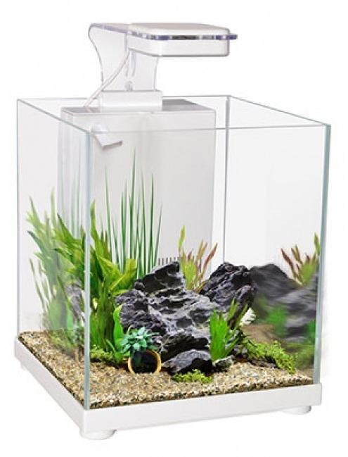 Aqua One Betta Fighter Fish Sanctuary White