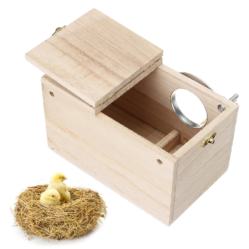 Wooden bird nesting box with open lid, round entrance, and two chicks in a nest