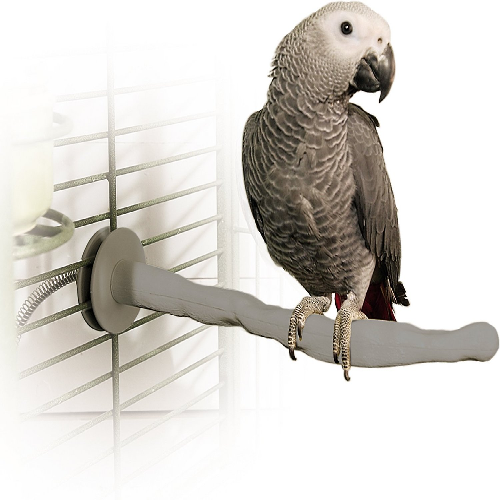 Grey parrot perched on a birdcage accessory perch in a metal wire bird cage