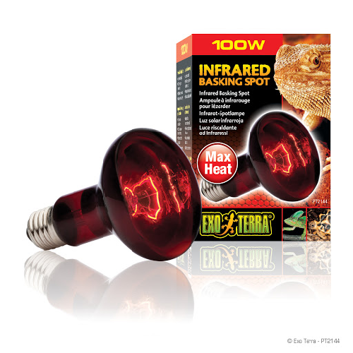 Infrared reptile heat lamp and packaging with lizard image, ideal for reptile heating
