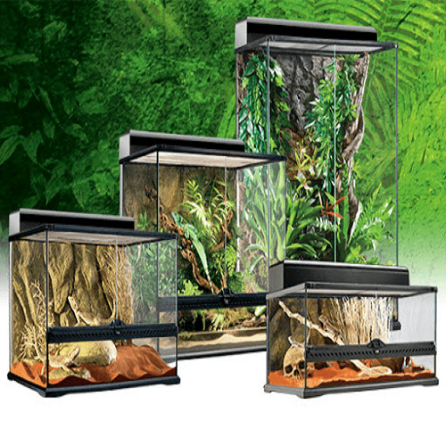 Glass reptile terrariums with plants and decorations, suitable for pet reptiles.