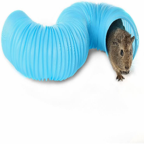 Small pet crawling through blue plastic tunnel toy for small animals
