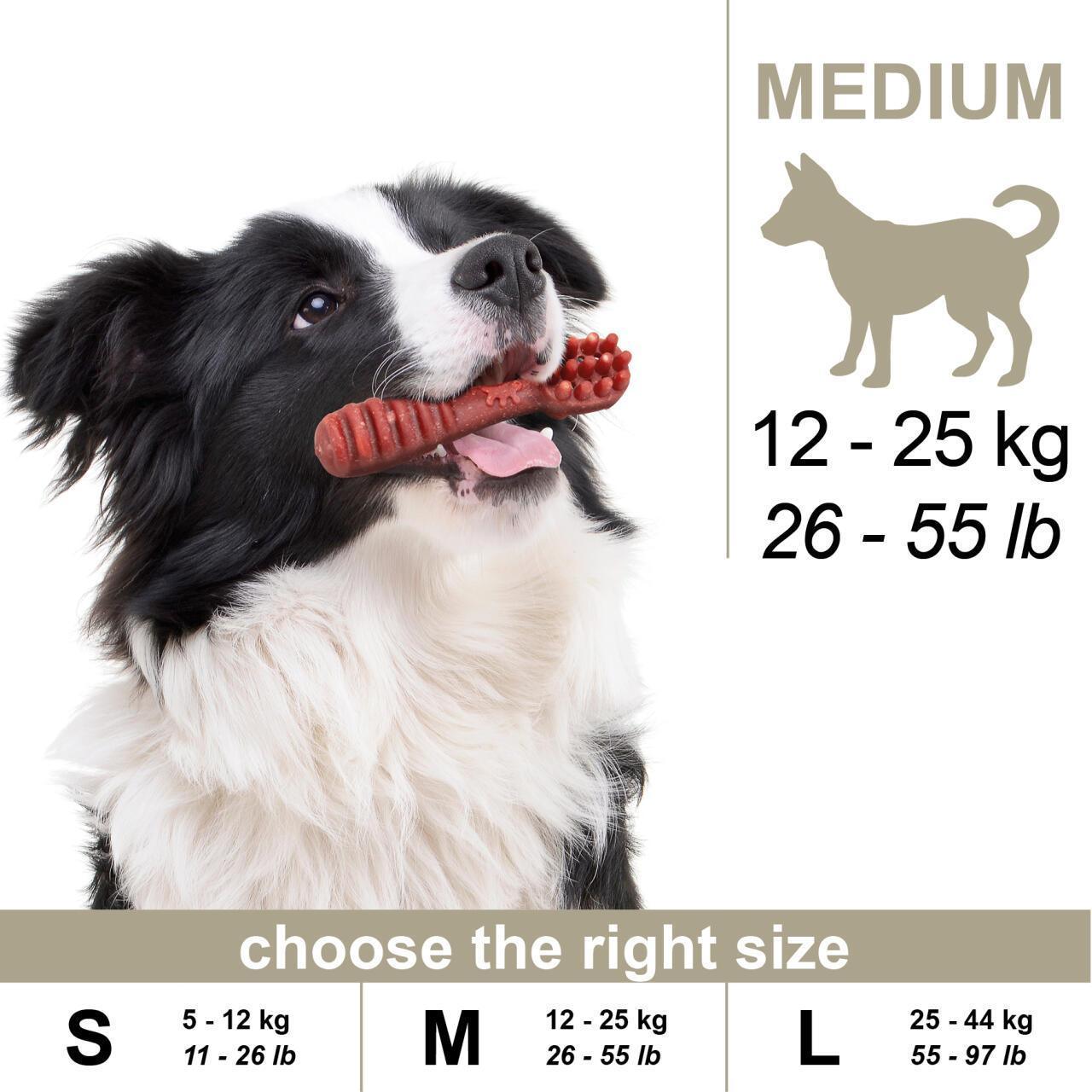 100% Snack Dog Round Sticks Medium (80)