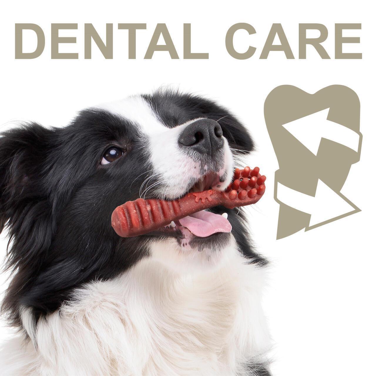 100% Snack Dog Sticks Toothbrush Medium (55)