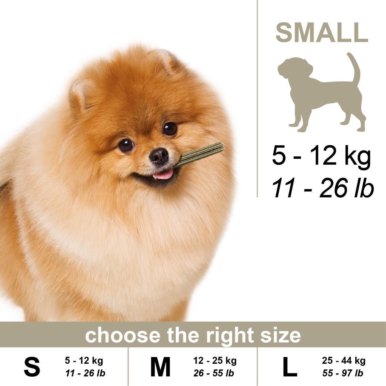 100% Snack Dog Sticks Toothbrush Medium (55)