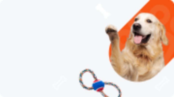 Your Online Pet Store Pet Supplies Pet Food Accessories