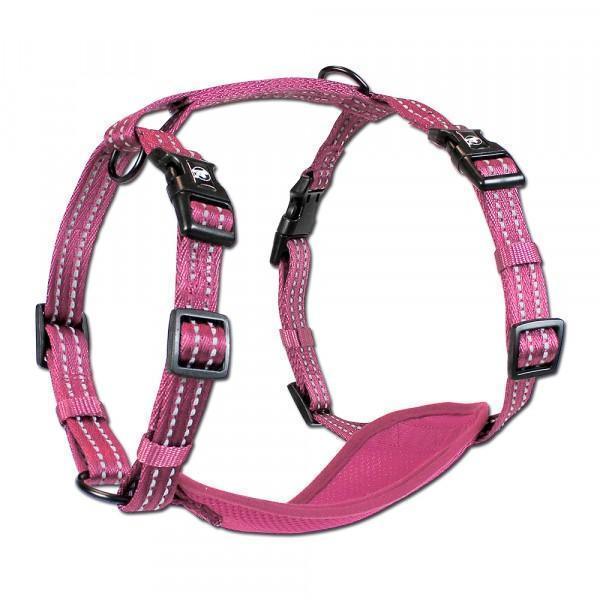 Alcott Adventure Nylon Dog Harness Set