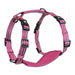 Alcott Adventure Nylon Dog Harness Set