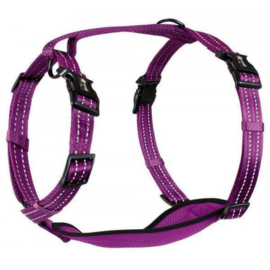 Alcott Adventure Nylon Dog Harness Set
