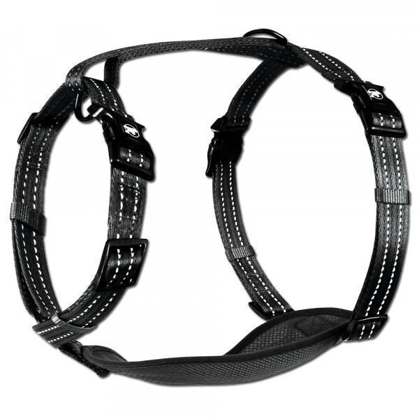 Alcott Adventure Nylon Dog Harness Set