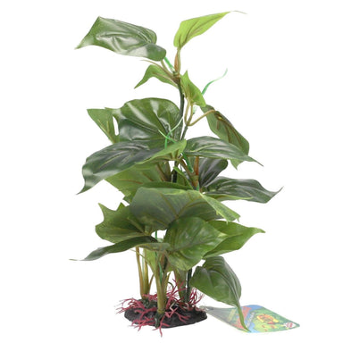 Anubias on Rock Aquarium Ornament