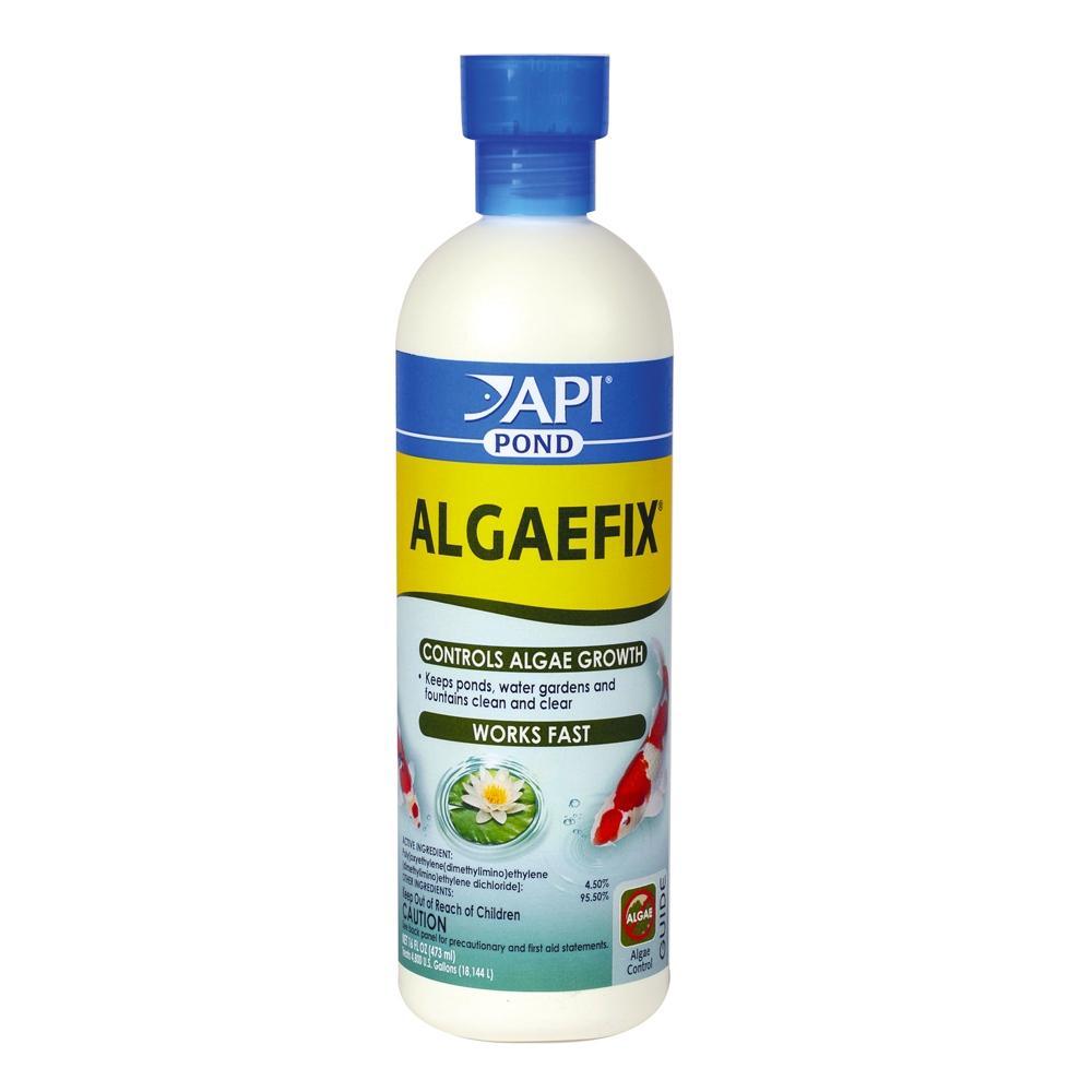 API Fish Pond Algae Clean Algaefix 240ml
