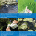 API Pond Care Algae Fix 1.89 Litres