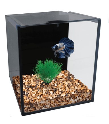 Aqua One Betta Condo Mono with Heater and Filter