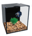 Aqua One Betta Condo Mono with Heater and Filter