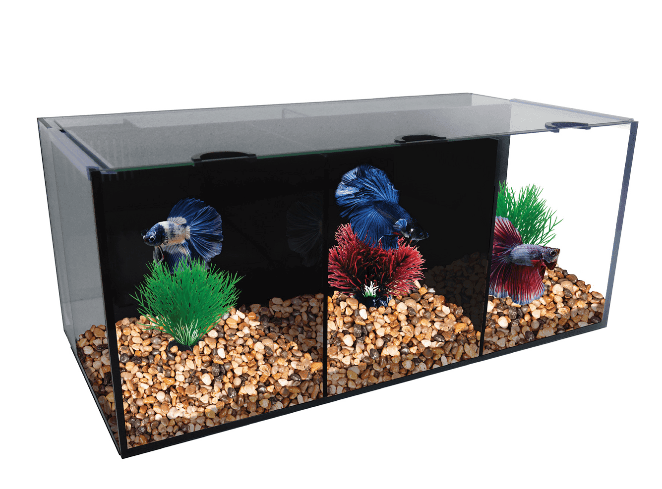 Aqua One Betta Condo Trio with Heater and Filter