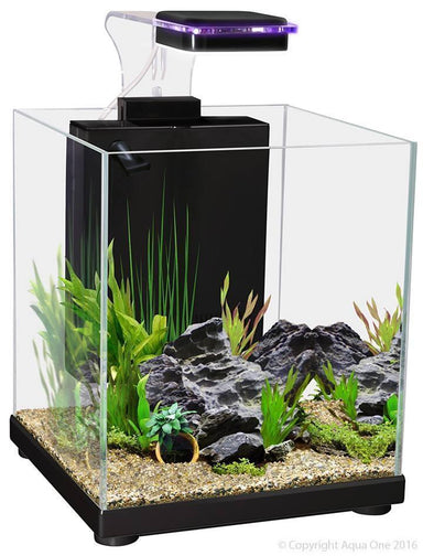 Aqua One Betta Fighter Fish Sanctuary Black