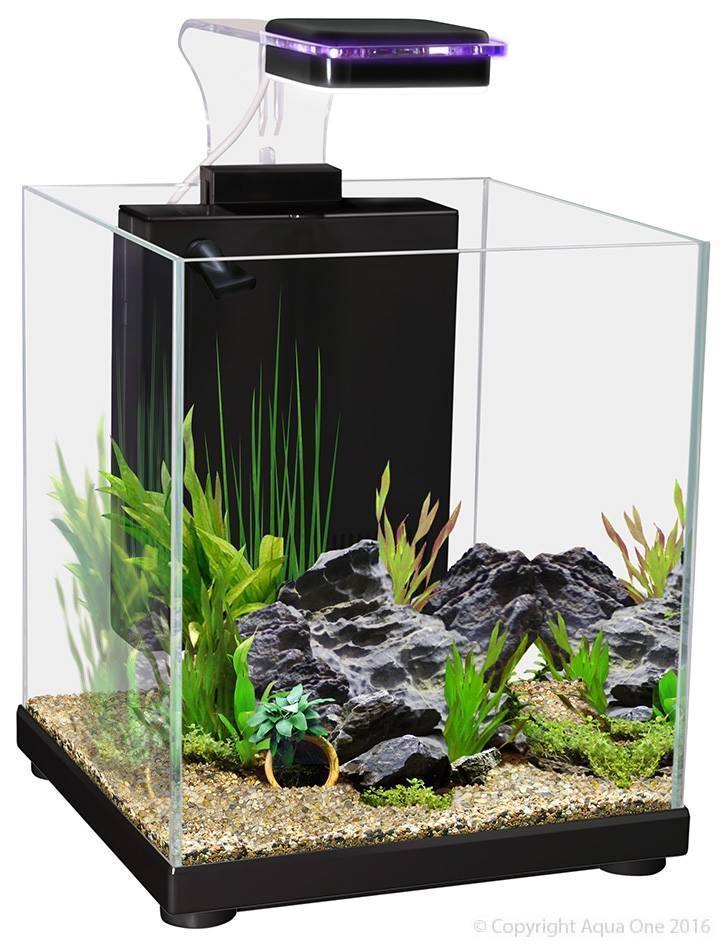 Aqua One Betta Fighter Fish Sanctuary Black