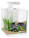Aqua One Betta Fighter Fish Sanctuary White