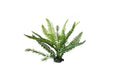 Aquarium Ornament Boston Fern Upright Large - Amazing Amazon