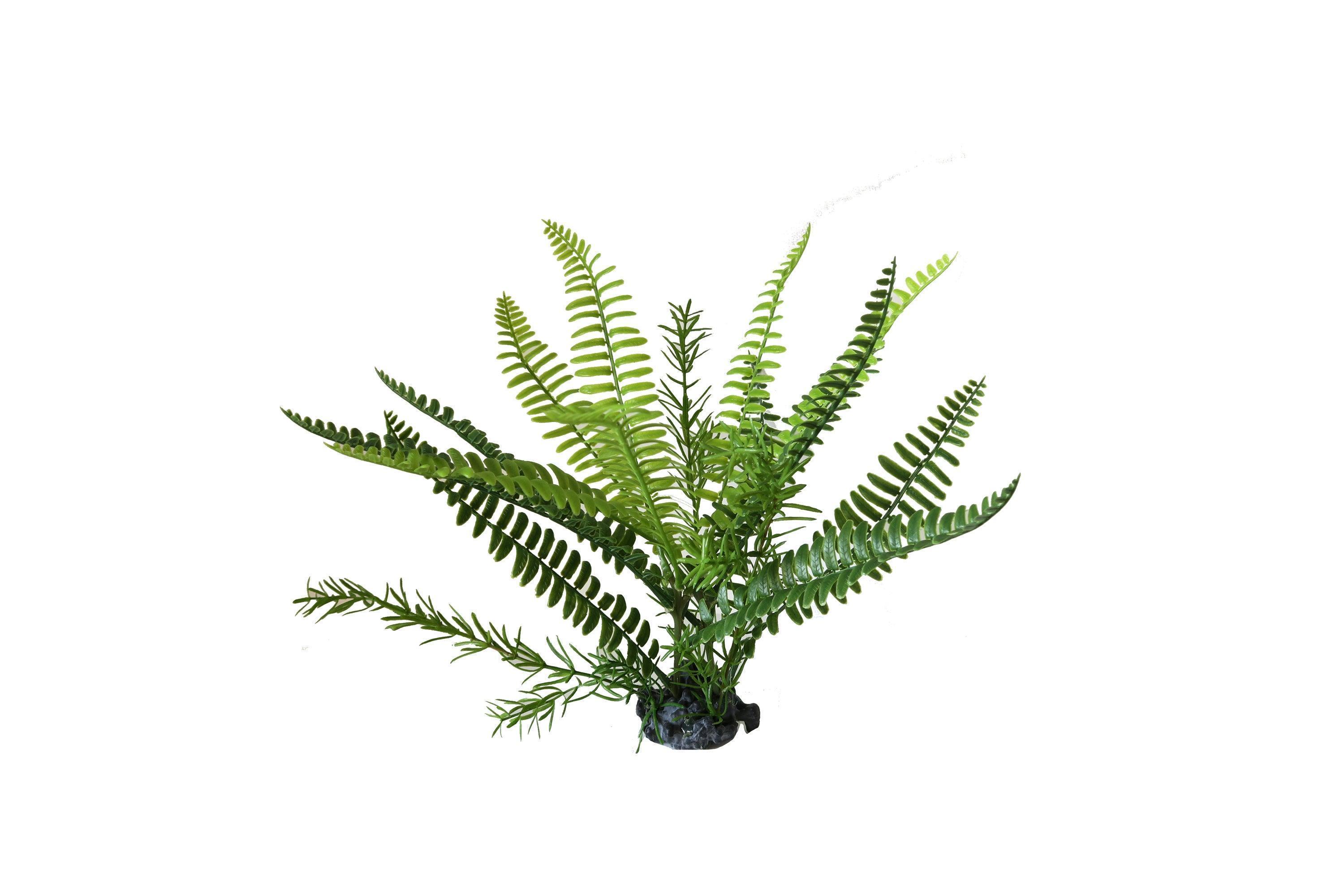 Aquarium Ornament Boston Fern Upright Large