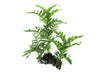 Aquarium Ornament Coarse Fern Large