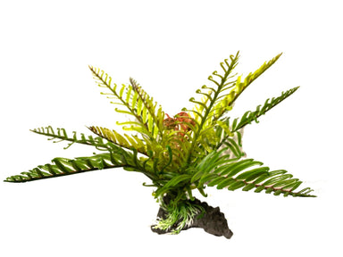 Aquarium Ornament Filmy Fern Large