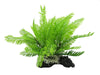 Aquarium Ornament Filmy Fern Medium - Amazing Amazon