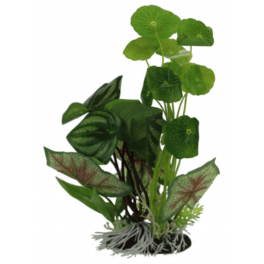 Aquarium Ornament  Pennywort/Flame Spathiphyllum