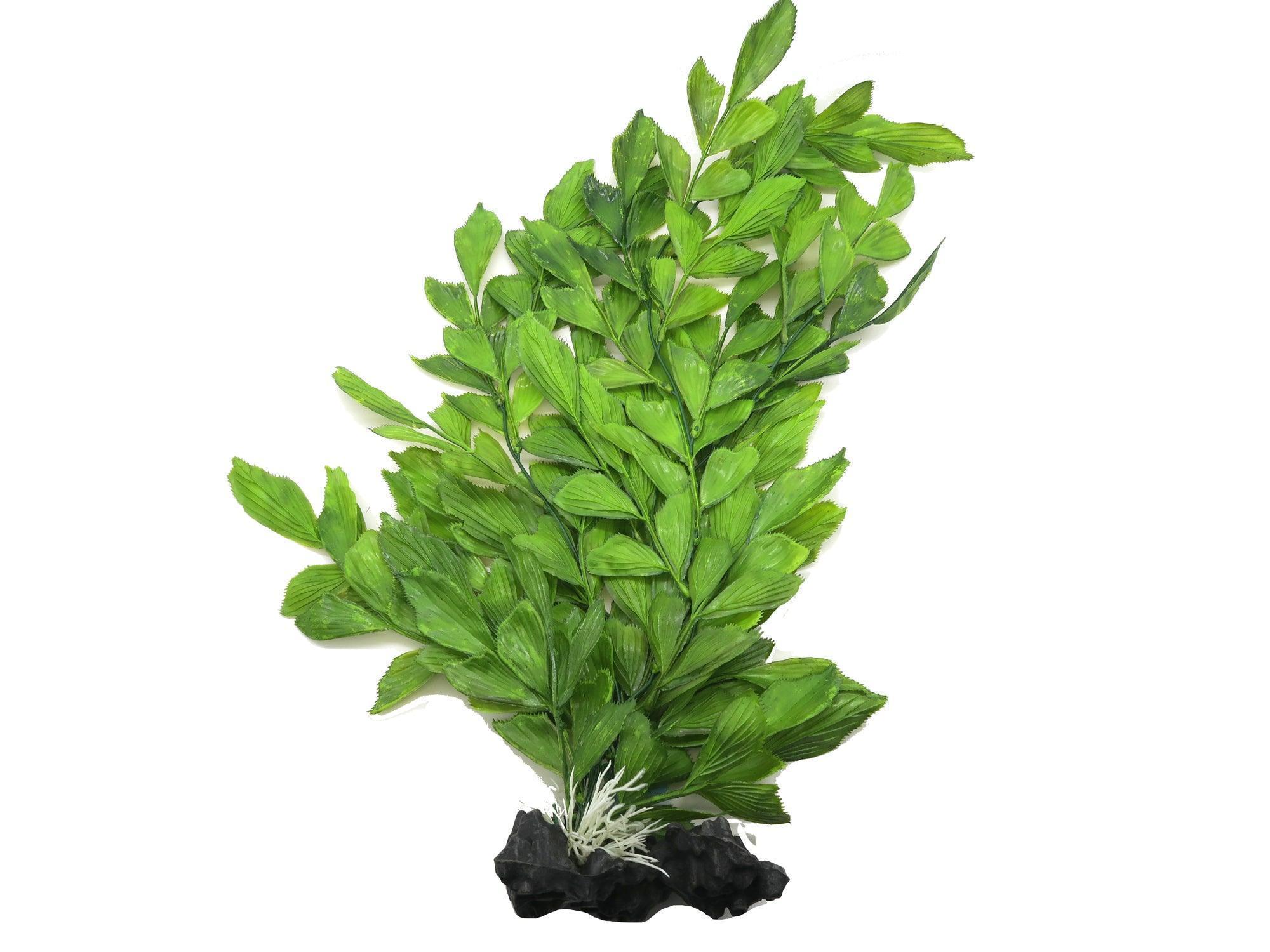 Aquarium Ornament Upright Fern XL - Amazing Amazon