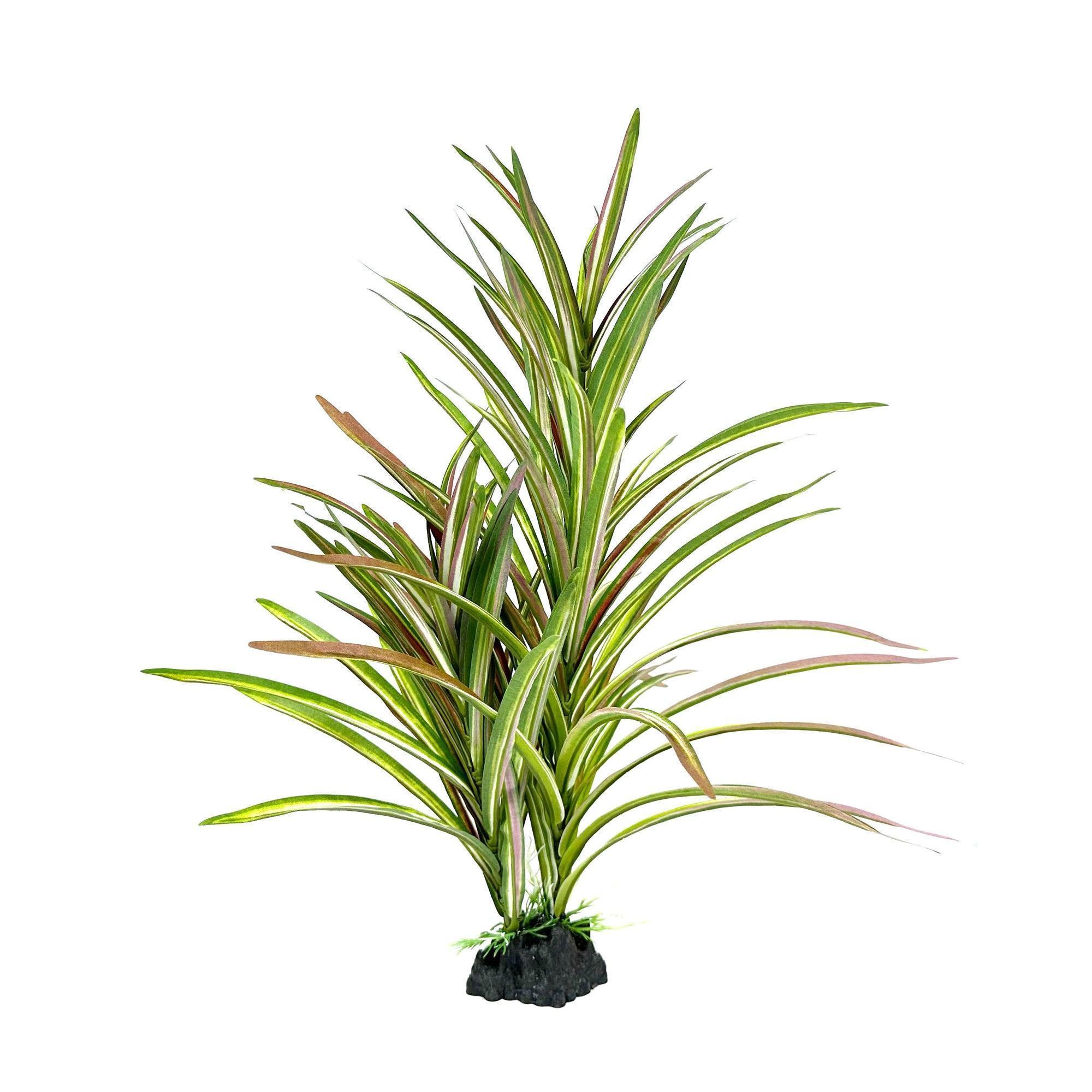 Aquarium Ornament Upright Spinifex XL - Amazing Amazon