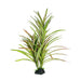 Aquarium Ornament Upright Spinifex XL - Amazing Amazon