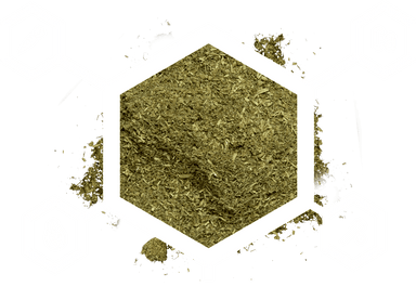 Arcadia Earth Pro Insect Fuel 50g