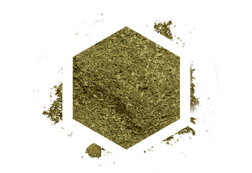 Arcadia Earth Pro Insect Fuel 50g