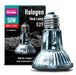 Arcadia Halogen Basking Spot Lamp
