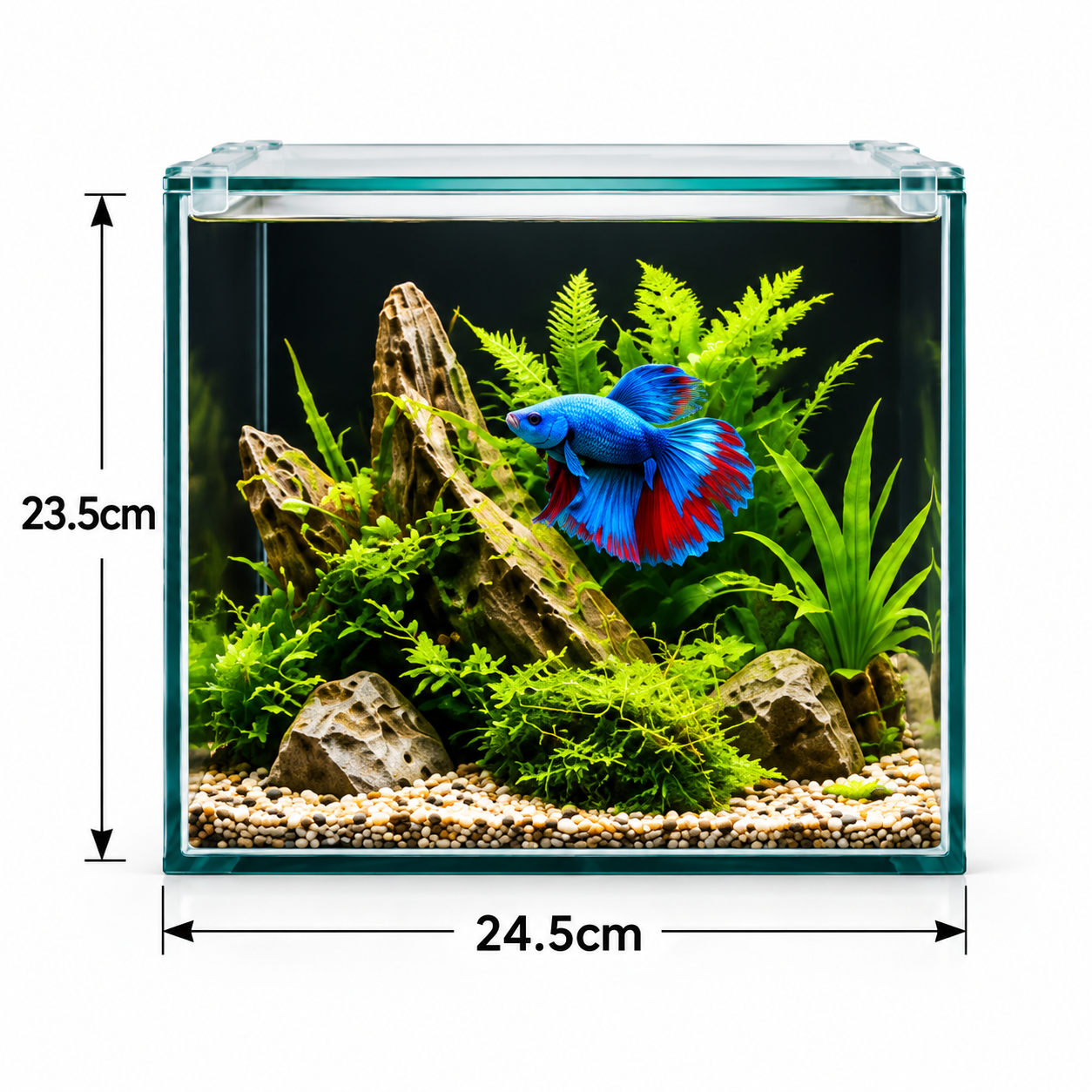 BioScape Tropic Betta 10L aquarium showing included features