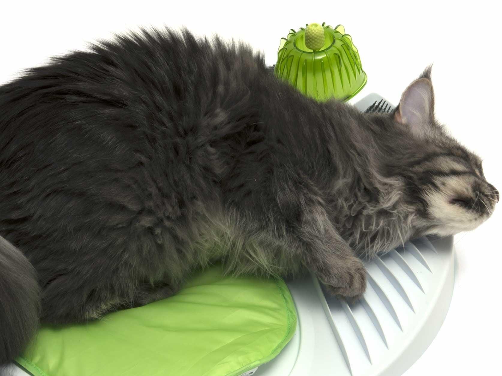 Catit 2.0 Wellness Centre