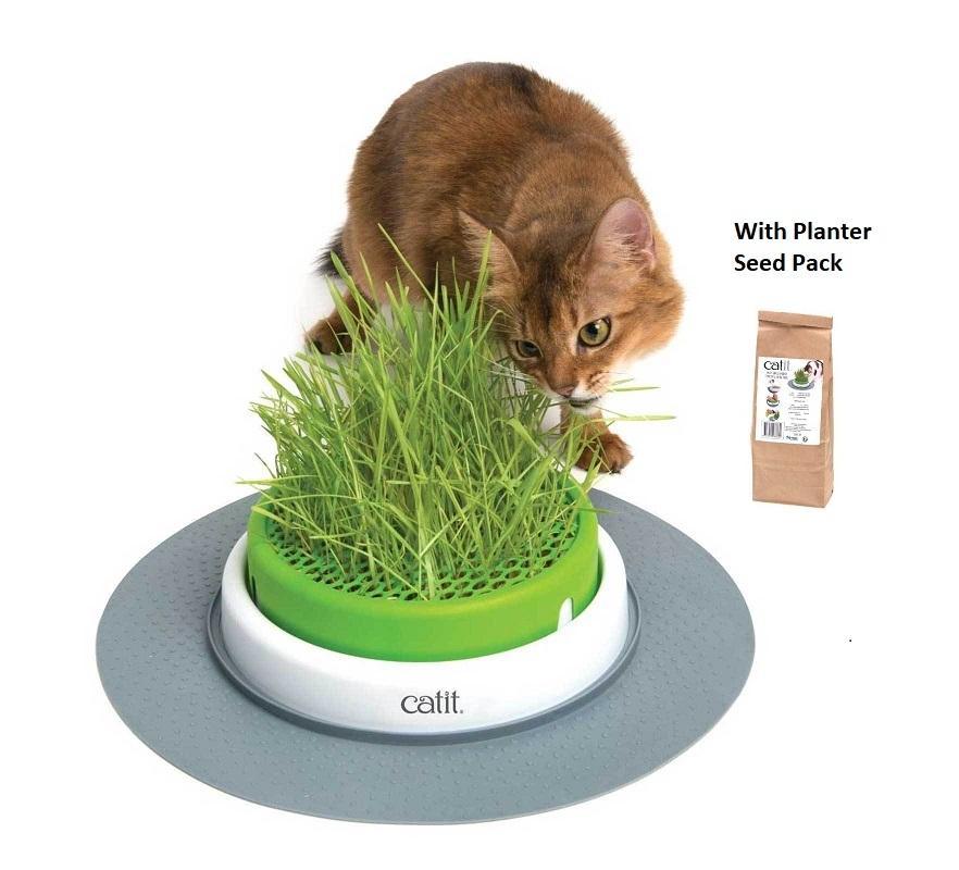 Catit Senses 2.0 Cat Grass Planter With Seed Pack
