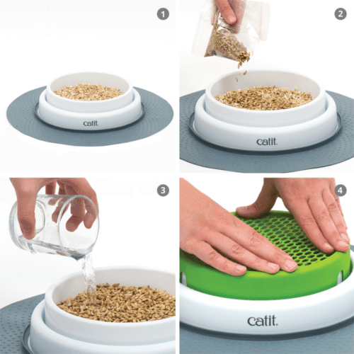 Catit Senses 2.0 Cat Grass Planter With Seed Pack