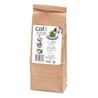 Catit Senses 2.0 Cat Grass Planter With Seed Pack