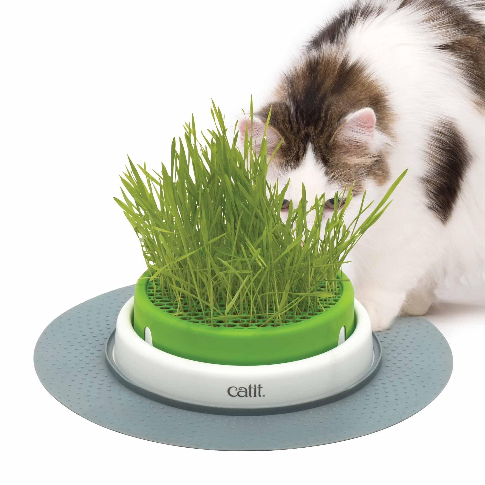 Catit Senses 2.0 Cat Grass Planter