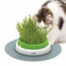 Catit Senses 2.0 Cat Grass Planter