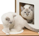 Catit Vesper Double Walnut Cat Twin Home with Platform