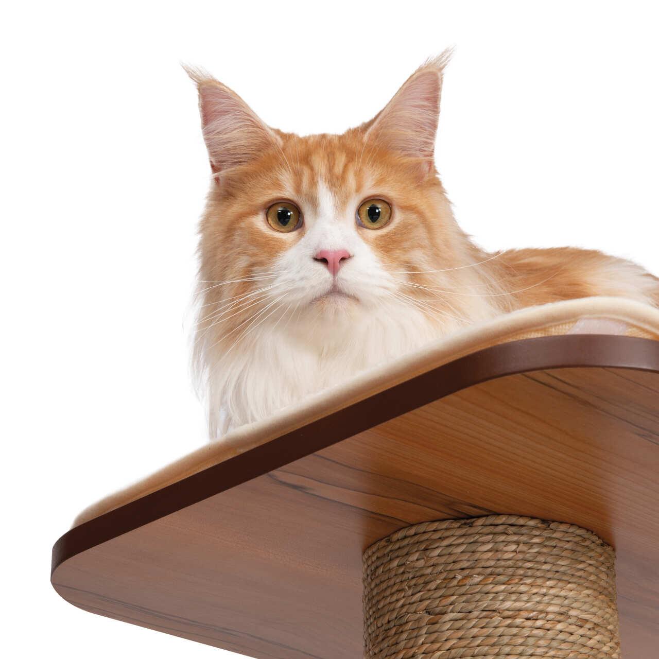 Catit Vesper Giant Cat Home Complex with Platforms