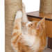 Catit Vesper Giant Cat Home Complex with Platforms